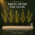 5-Piece Pre-Lit Norfolk Pine Twinkle Stems – A Vase Full of Christmas Glow ✨