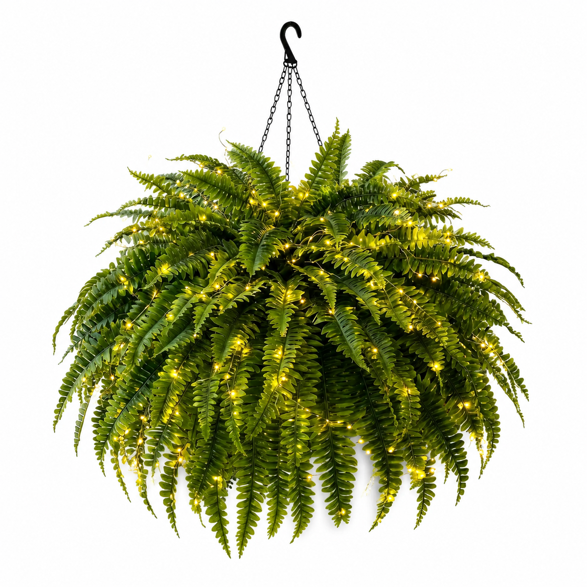 💛Glowing Boston Ferns– 🌿 Zero Watering, Zero Maintenance