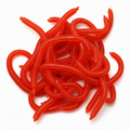 ⏰Simulation Earthworm Soft Fishing Lures Shrimp Scented Artificial Worm Baits for Freshwater